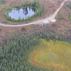 Wetland Leave Zone