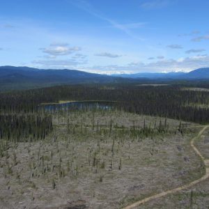 skeena-stikine-natural-resource-district