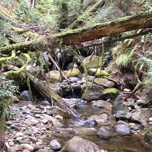 IRC218-Wilson-Creek-near-landslide