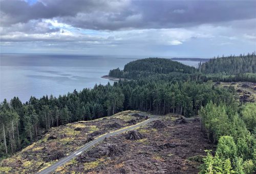 Timber harvesting on Haida Gwaii.